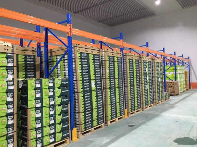 桃、李、杏水果儲(chǔ)存保鮮冷庫(kù)建造及造價(jià)