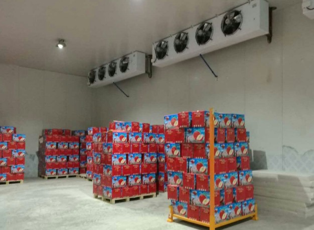 蘋果儲(chǔ)藏冷庫(kù)