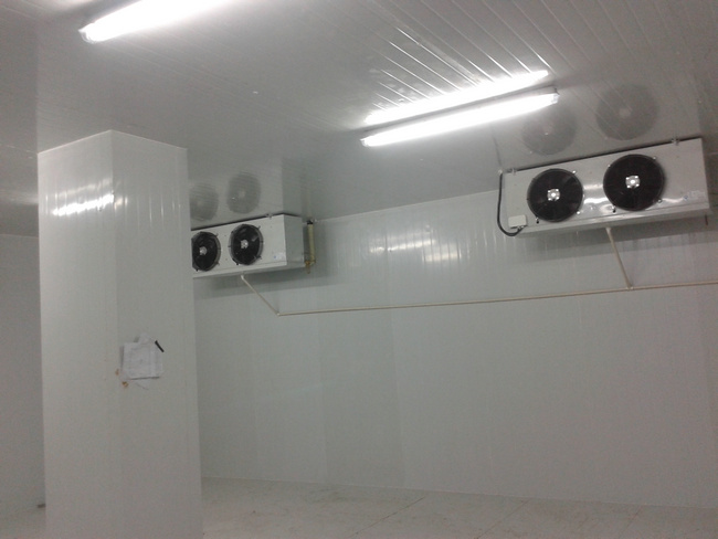 大型水果保鮮冷庫(kù)的建造特點(diǎn)